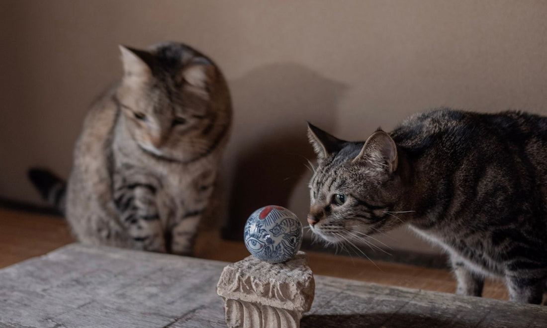 Mari Masuda POP-UP STORE | BORDEAUX