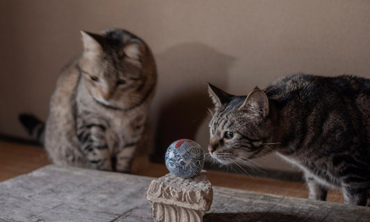 Mari Masuda POP-UP STORE | BORDEAUX