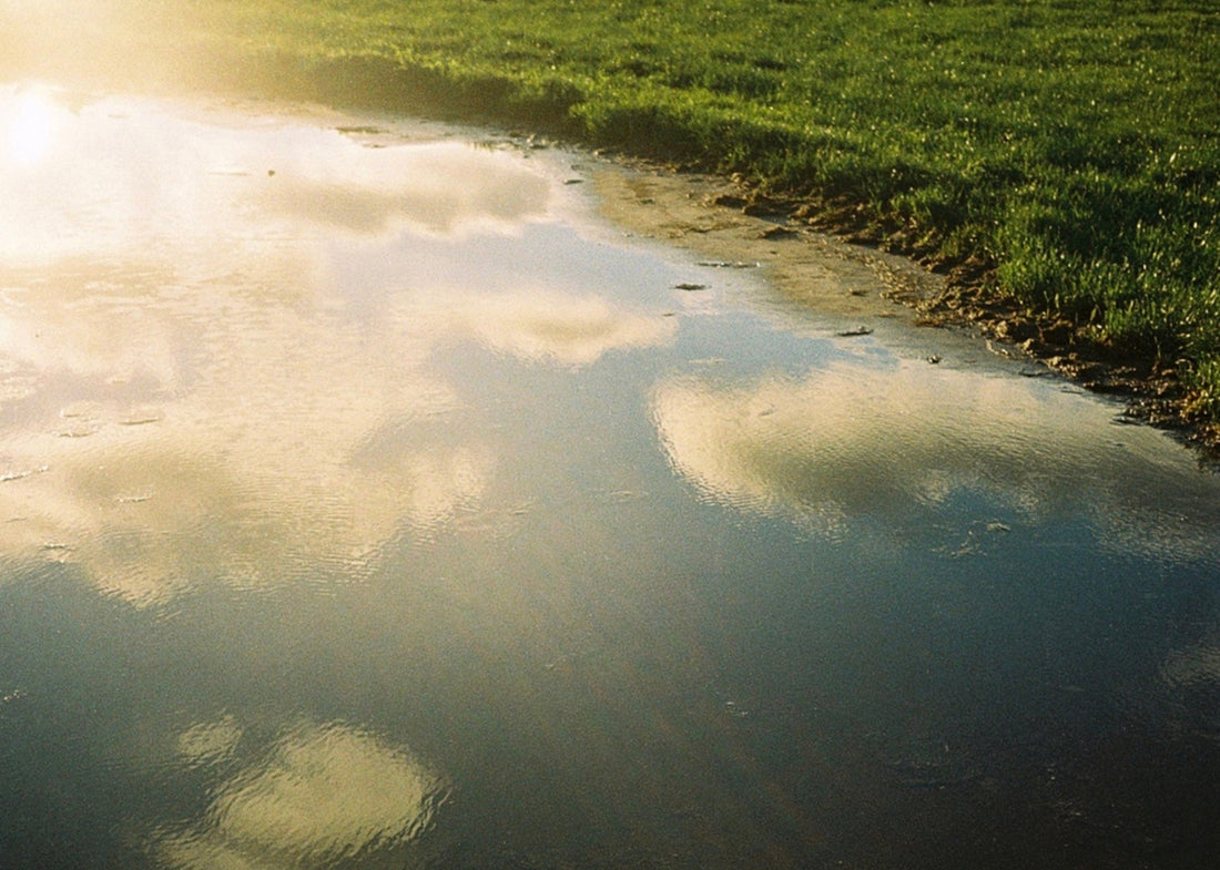 unKruid｜SERIES 2