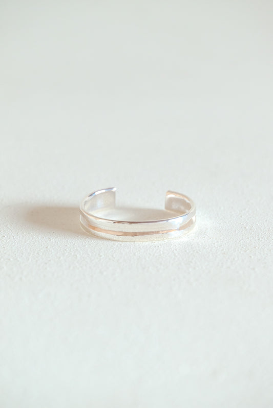 MARIA RUDMAN SILVER COLLECTION JANUARY