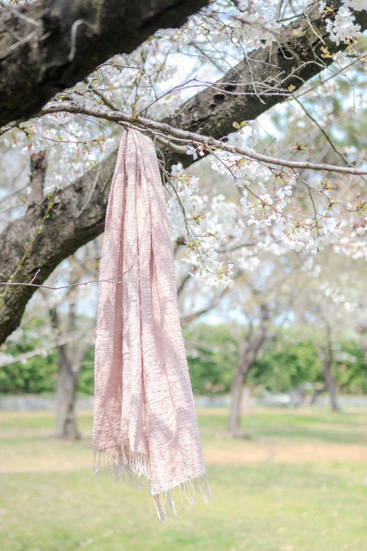 zen no ma haku sakura